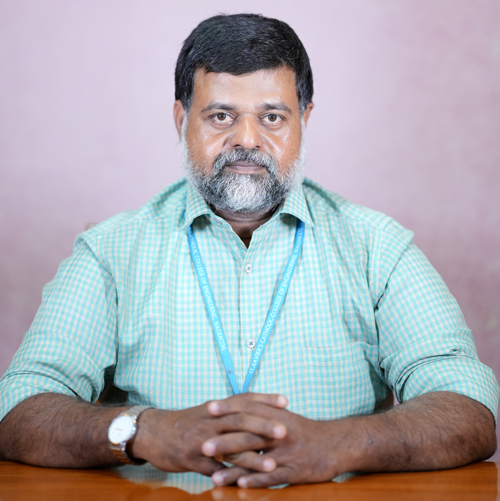 Mr. D. T. Rose Robin