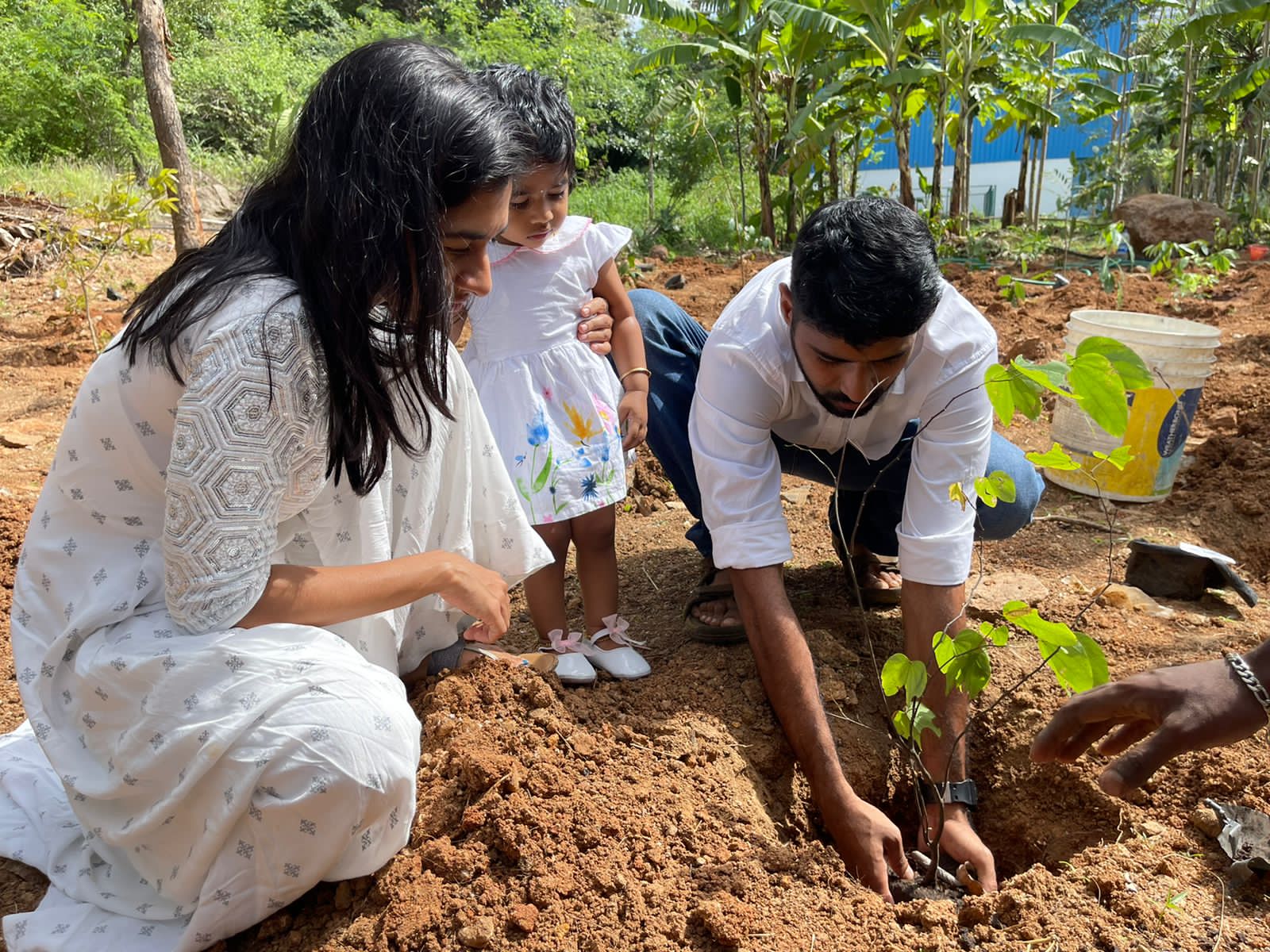 Urban Forest Initiative 2022-11