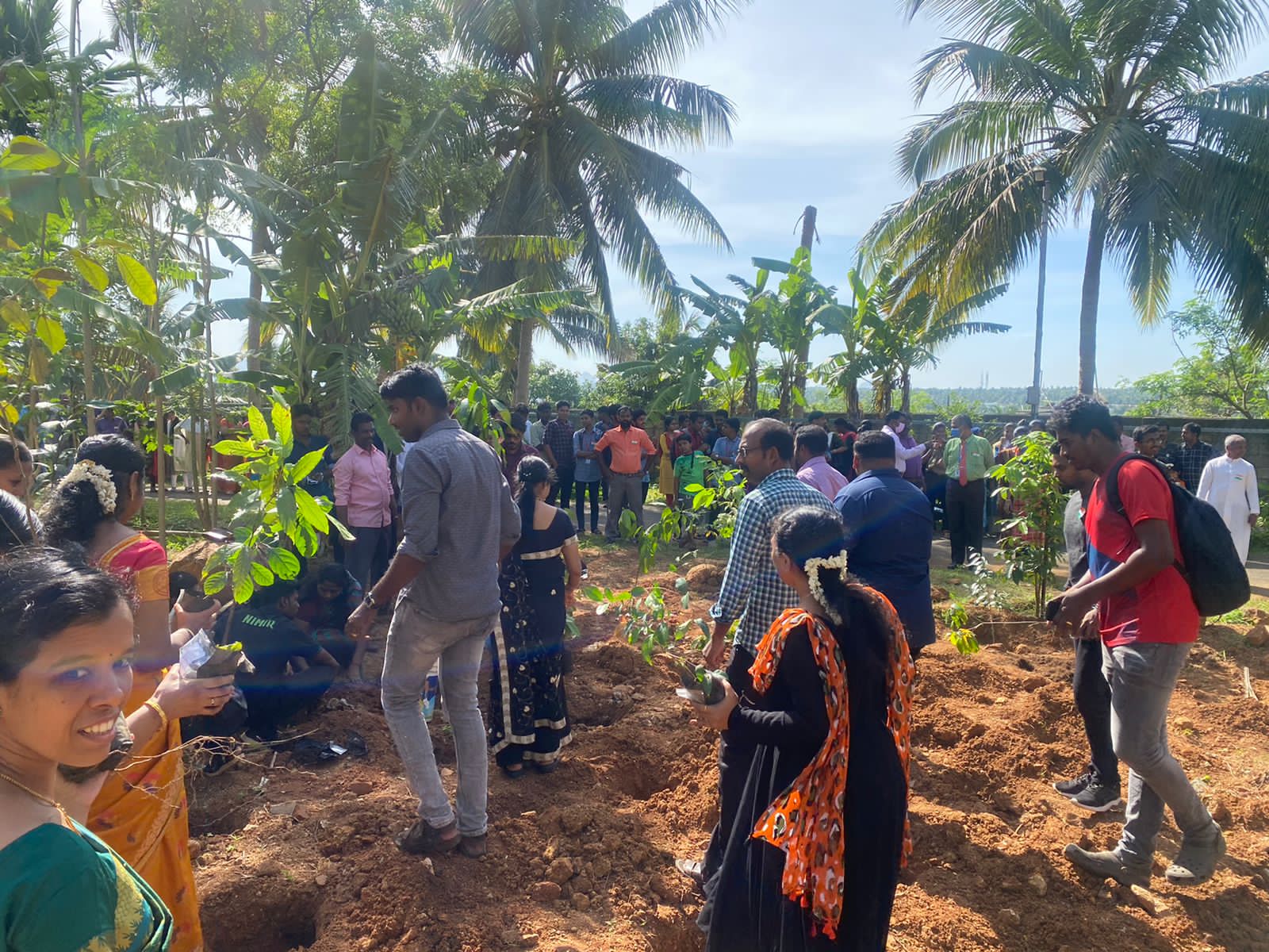 Urban Forest Initiative 2022-13